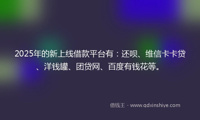 2025年的新上线借款平台有：还呗、维信卡卡贷、洋钱罐、团贷网、百度有钱花等。