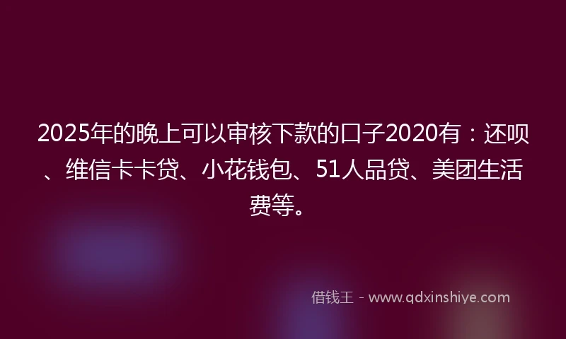 2025年的晚上可以审核下款的口子2020有：还呗、维信卡卡贷、小花钱包、51人品贷、美团生活费等。