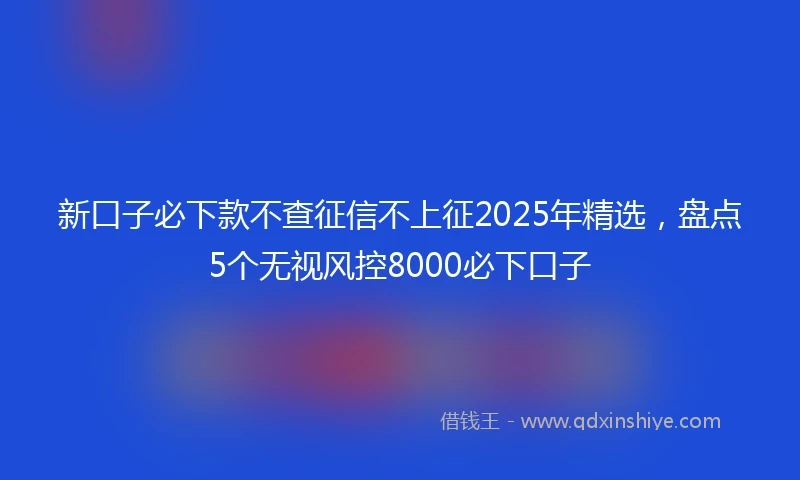 新口子必下款不查征信不上征2025年精选，盘点5个无视风控8000必下口子
