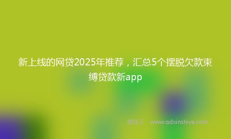 新上线的网贷2025年推荐，汇总5个摆脱欠款束缚贷款新app