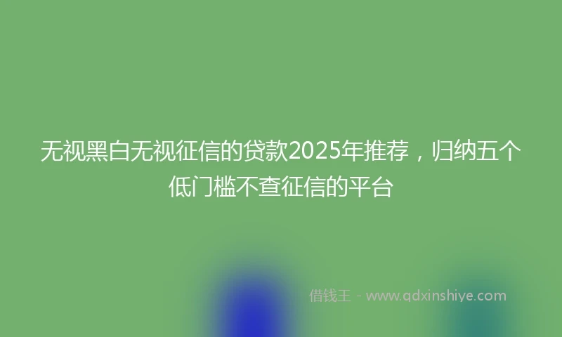 无视黑白无视征信的贷款2025年推荐，归纳五个低门槛不查征信的平台