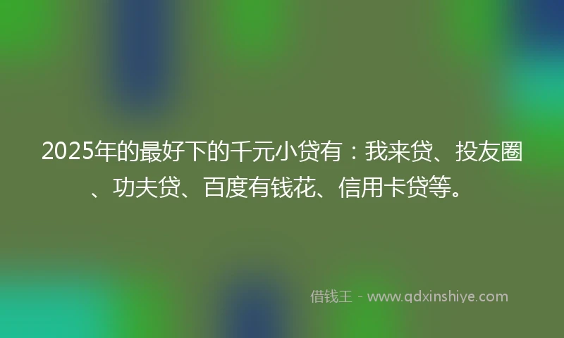 2025年的最好下的千元小贷有:我来贷、投友圈、功夫贷、百度有钱花、信用卡贷等。