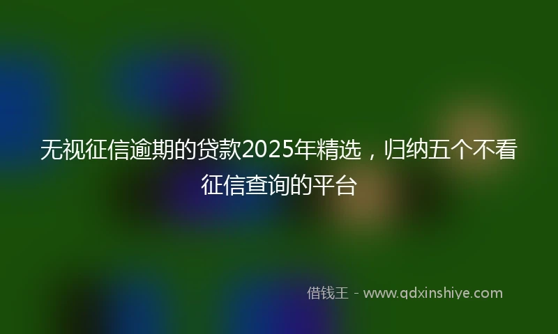 无视征信逾期的贷款2025年精选，归纳五个不看征信查询的平台