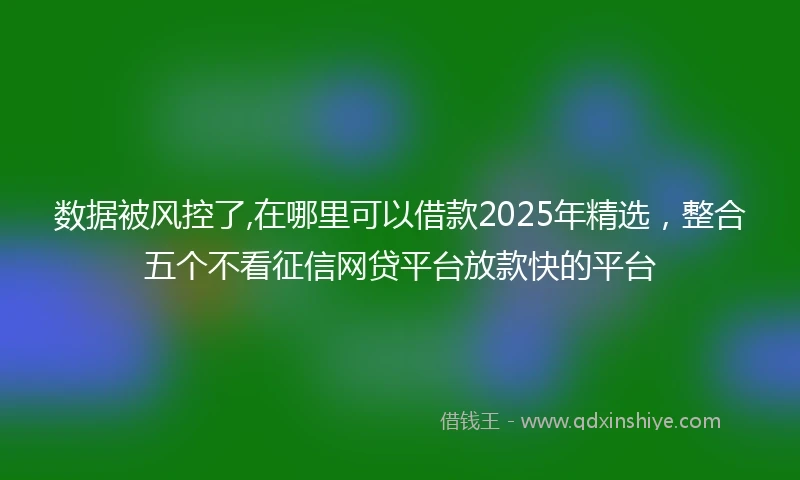 数据被风控了,在哪里可以借款2025年精选，整合五个不看征信网贷平台放款快的平台