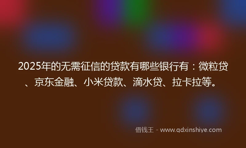 2025年的无需征信的贷款有哪些银行有：微粒贷、京东金融、小米贷款、滴水贷、拉卡拉等。