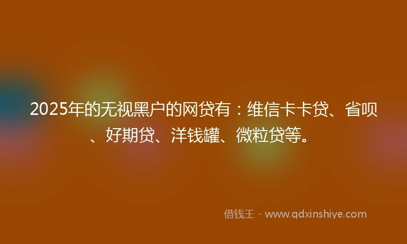 2025年的无视黑户的网贷有：维信卡卡贷、省呗、好期贷、洋钱罐、微粒贷等。