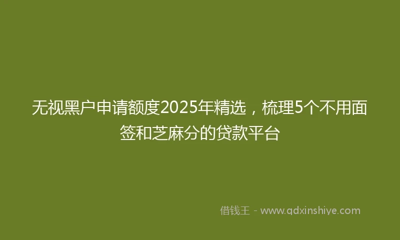 无视黑户申请额度2025年精选，梳理5个不用面签和芝麻分的贷款平台