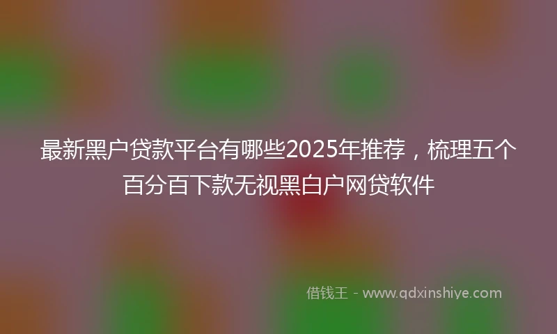 最新黑户贷款平台有哪些2025年推荐，梳理五个百分百下款无视黑白户网贷软件