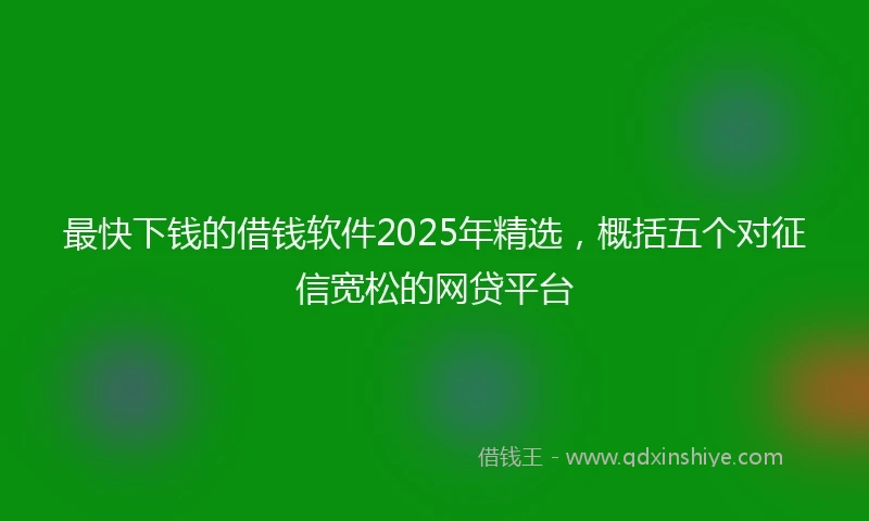 最快下钱的借钱软件2025年精选，概括五个对征信宽松的网贷平台