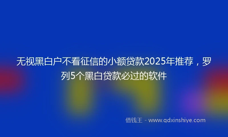 无视黑白户不看征信的小额贷款2025年推荐，罗列5个黑白贷款必过的软件