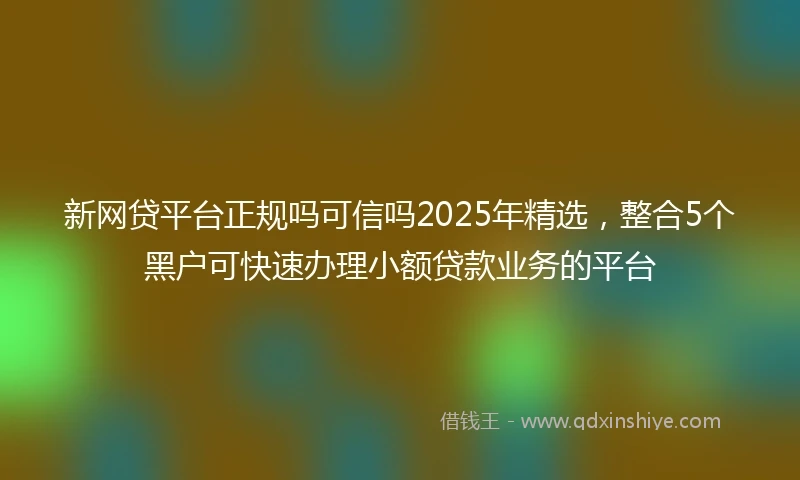 新网贷平台正规吗可信吗2025年精选，整合5个黑户可快速办理小额贷款业务的平台