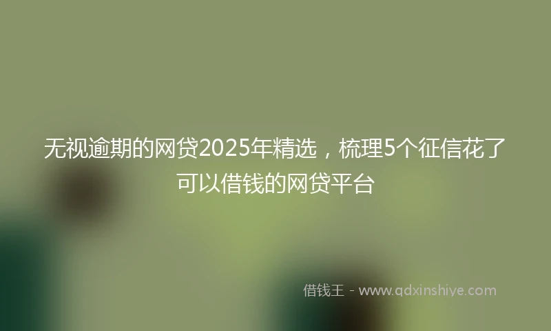 无视逾期的网贷2025年精选，梳理5个征信花了可以借钱的网贷平台