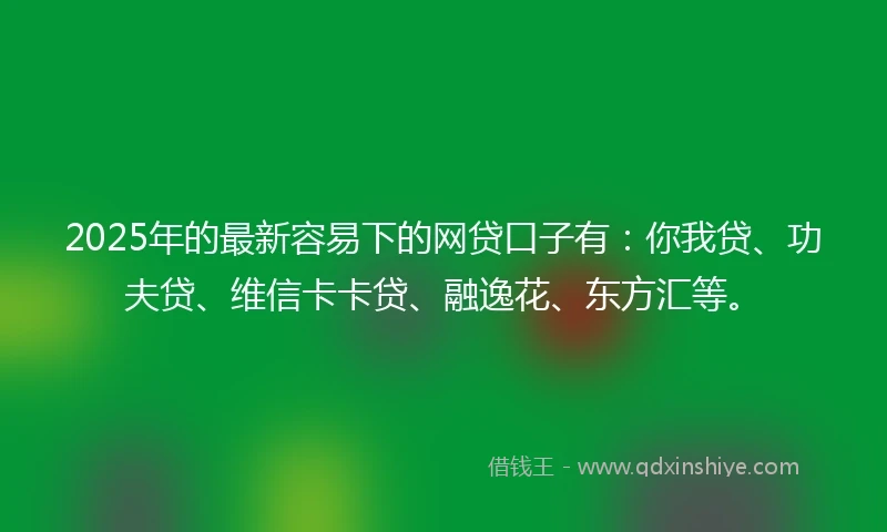 2025年的最新容易下的网贷口子有：你我贷、功夫贷、维信卡卡贷、融逸花、东方汇等。