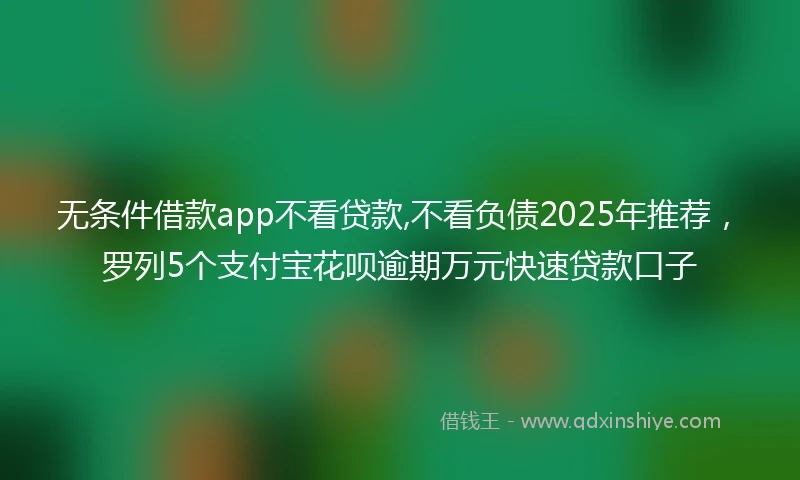 无条件借款app不看贷款,不看负债2025年推荐，罗列5个支付宝花呗逾期万元快速贷款口子