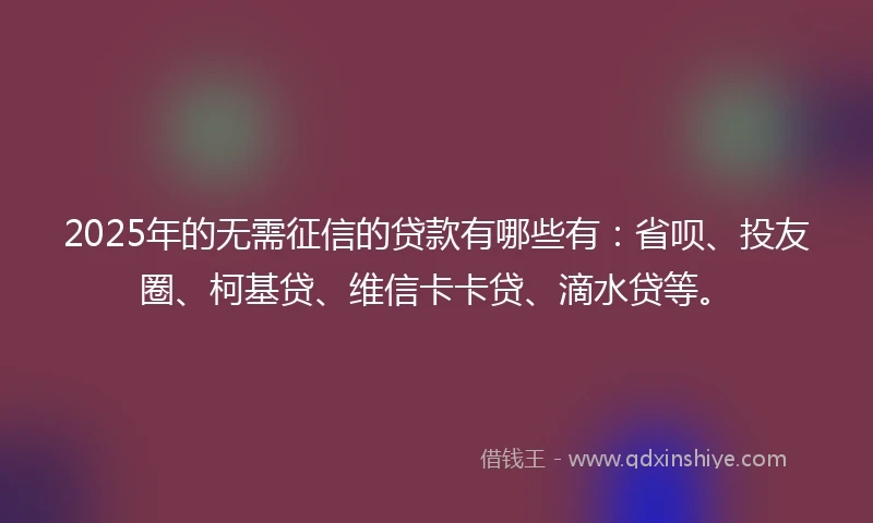 2025年的无需征信的贷款有哪些有：省呗、投友圈、柯基贷、维信卡卡贷、滴水贷等。