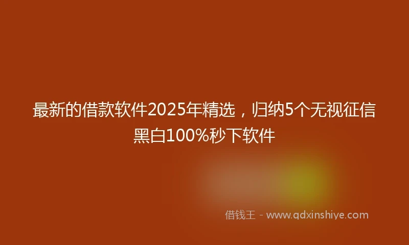 最新的借款软件2025年精选，归纳5个无视征信黑白100%秒下软件