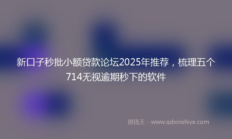 新口子秒批小额贷款论坛2025年推荐,梳理五个714无视逾期秒下的软件