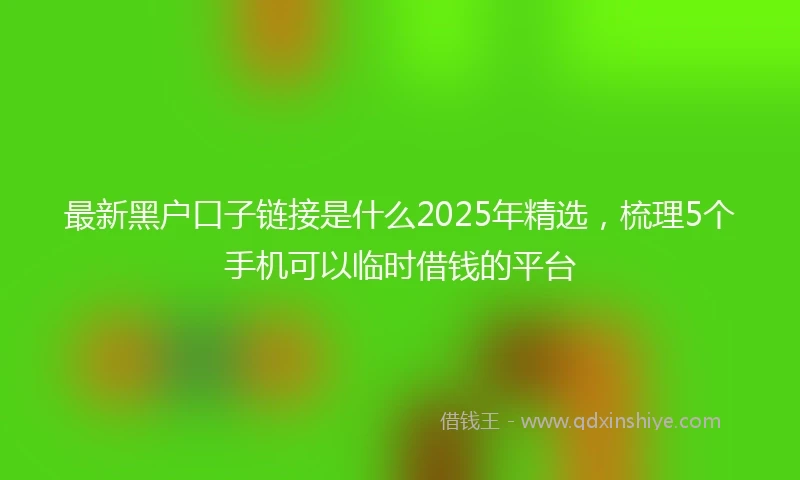最新黑户口子链接是什么2025年精选，梳理5个手机可以临时借钱的平台