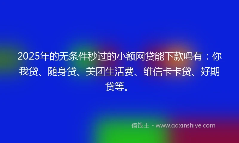 2025年的无条件秒过的小额网贷能下款吗有:你我贷、随身贷、美团生活费、维信卡卡贷、好期贷等。