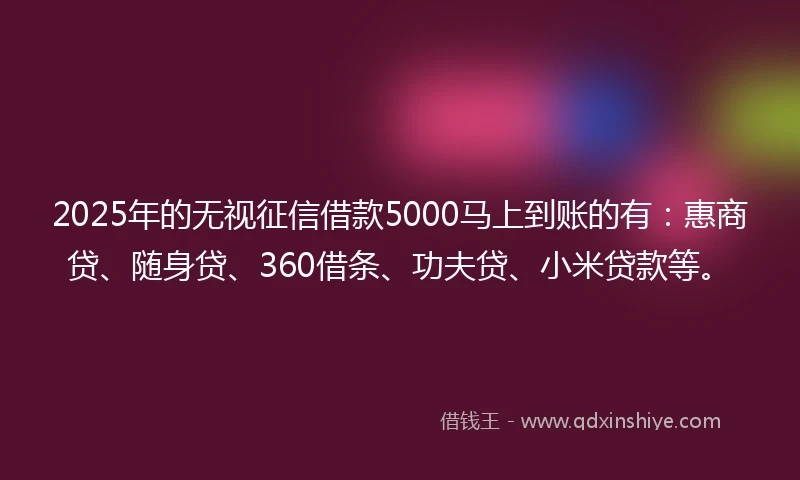 2025年的无视征信借款5000马上到账的有：惠商贷、随身贷、360借条、功夫贷、小米贷款等。