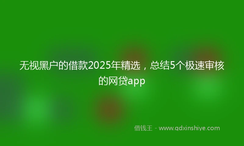 无视黑户的借款2025年精选，总结5个极速审核的网贷app