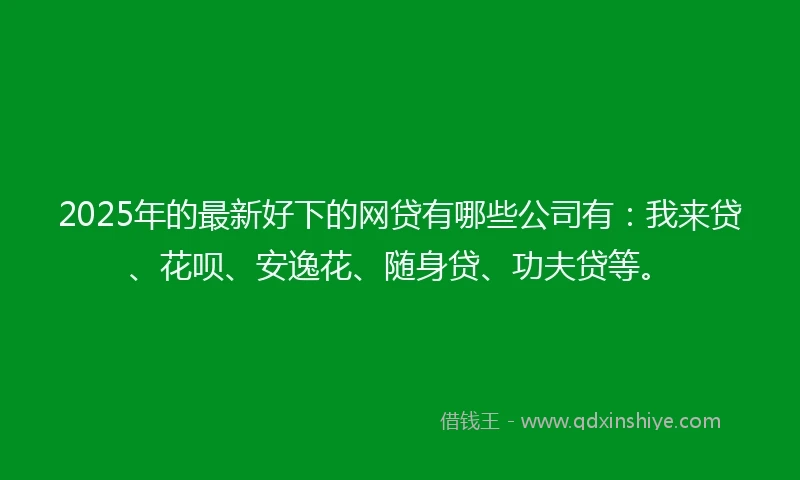 2025年的最新好下的网贷有哪些公司有：我来贷、花呗、安逸花、随身贷、功夫贷等。