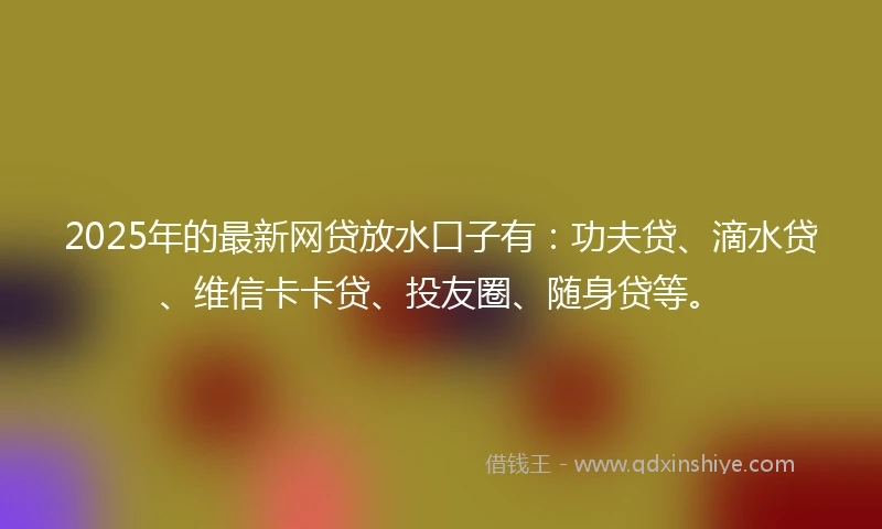 2025年的最新网贷放水口子有：功夫贷、滴水贷、维信卡卡贷、投友圈、随身贷等。