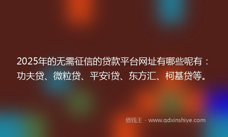 2025年的无需征信的贷款平台网址有哪些呢有：功夫贷、微粒贷、平安i贷、东方汇、柯基贷等。