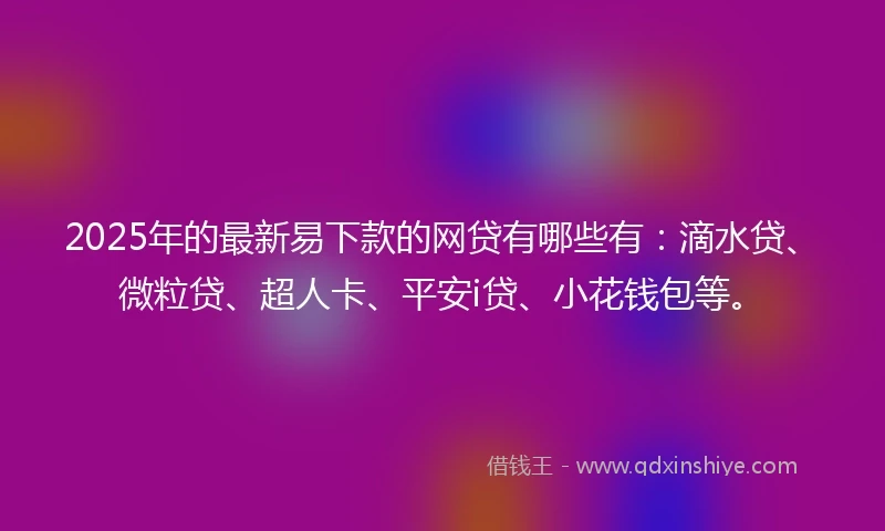 2025年的最新易下款的网贷有哪些有:滴水贷、微粒贷、超人卡、平安i贷、小花钱包等。