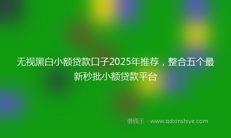 无视黑白小额贷款口子2025年推荐，整合五个最新秒批小额贷款平台