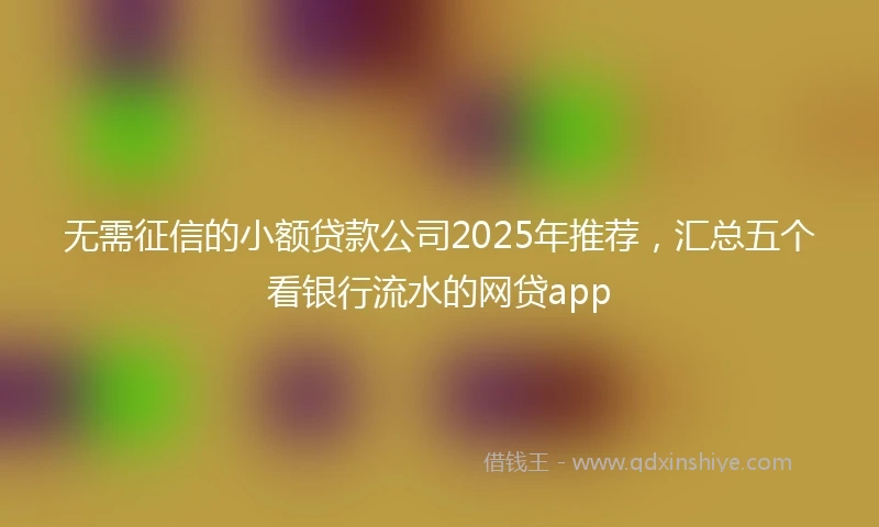 无需征信的小额贷款公司2025年推荐，汇总五个看银行流水的网贷app