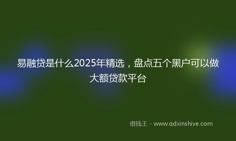 易融贷是什么2025年精选，盘点五个黑户可以做大额贷款平台