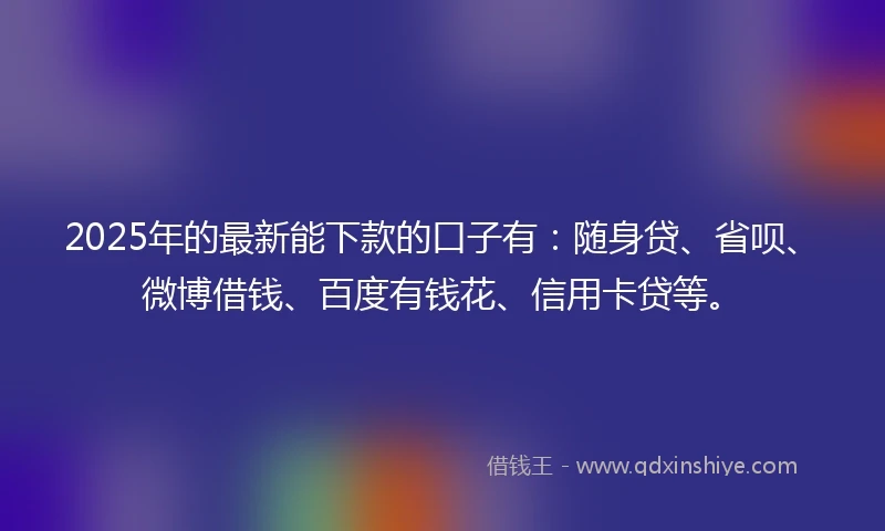 2025年的最新能下款的口子有：随身贷、省呗、微博借钱、百度有钱花、信用卡贷等。