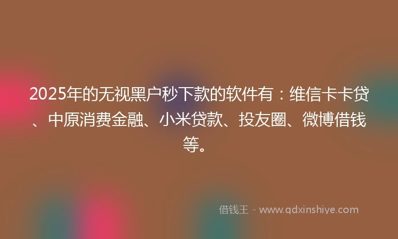 2025年的无视黑户秒下款的软件有：维信卡卡贷、中原消费金融、小米贷款、投友圈、微博借钱等。