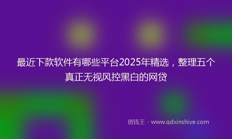 最近下款软件有哪些平台2025年精选，整理五个真正无视风控黑白的网贷