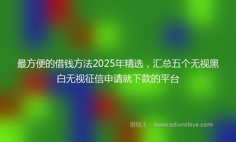 最方便的借钱方法2025年精选，汇总五个无视黑白无视征信申请就下款的平台