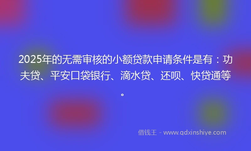 2025年的无需审核的小额贷款申请条件是有：功夫贷、平安口袋银行、滴水贷、还呗、快贷通等。