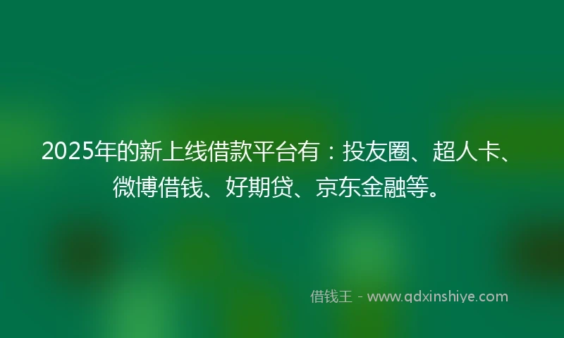 2025年的新上线借款平台有：投友圈、超人卡、微博借钱、好期贷、京东金融等。