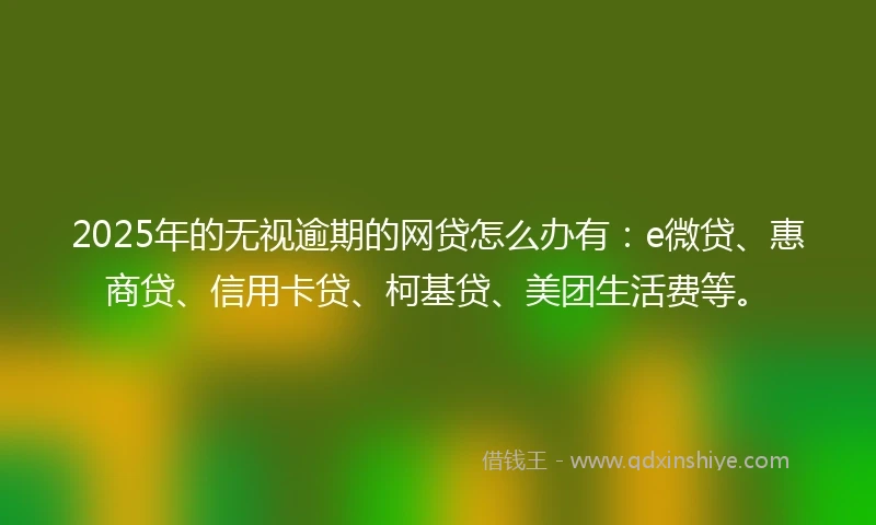 2025年的无视逾期的网贷怎么办有：e微贷、惠商贷、信用卡贷、柯基贷、美团生活费等。