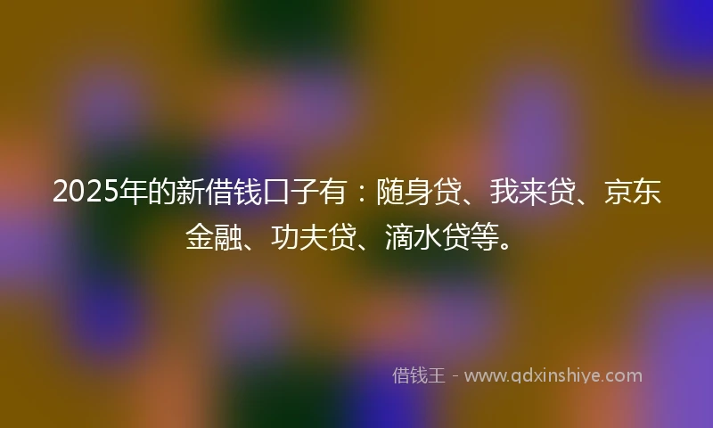 2025年的新借钱口子有：随身贷、我来贷、京东金融、功夫贷、滴水贷等。