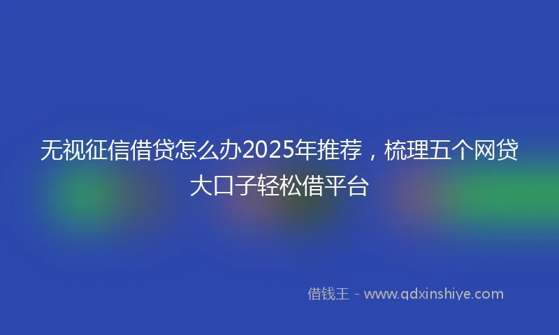 无视征信借贷怎么办2025年推荐，梳理五个网贷大口子轻松借平台
