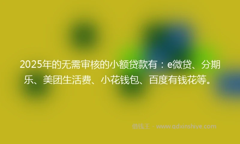 2025年的无需审核的小额贷款有：e微贷、分期乐、美团生活费、小花钱包、百度有钱花等。