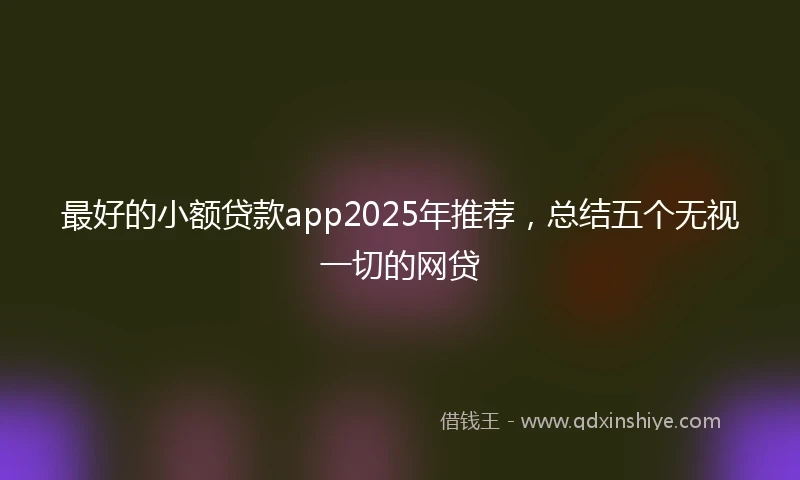 最好的小额贷款app2025年推荐，总结五个无视一切的网贷