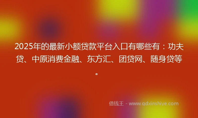2025年的最新小额贷款平台入口有哪些有：功夫贷、中原消费金融、东方汇、团贷网、随身贷等。