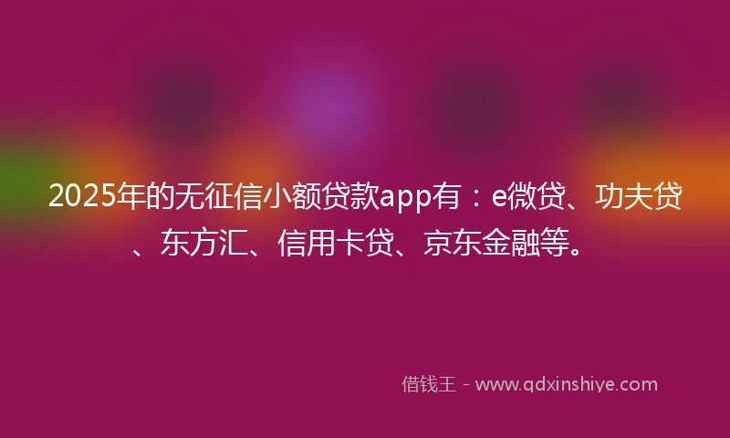 2025年的无征信小额贷款app有：e微贷、功夫贷、东方汇、信用卡贷、京东金融等。