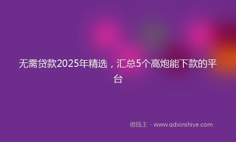无需贷款2025年精选，汇总5个高炮能下款的平台