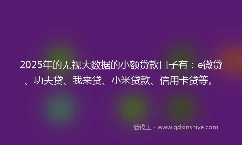 2025年的无视大数据的小额贷款口子有：e微贷、功夫贷、我来贷、小米贷款、信用卡贷等。