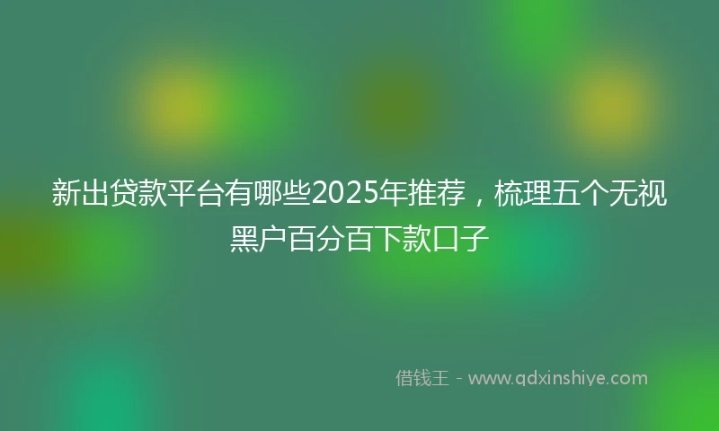 新出贷款平台有哪些2025年推荐，梳理五个无视黑户百分百下款口子
