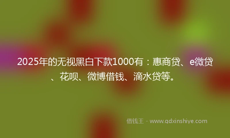 2025年的无视黑白下款1000有：惠商贷、e微贷、花呗、微博借钱、滴水贷等。