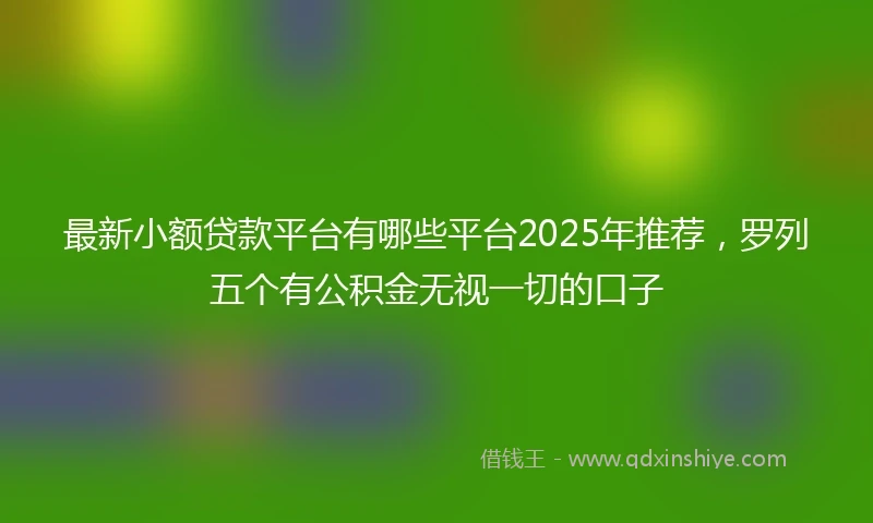 最新小额贷款平台有哪些平台2025年推荐，罗列五个有公积金无视一切的口子